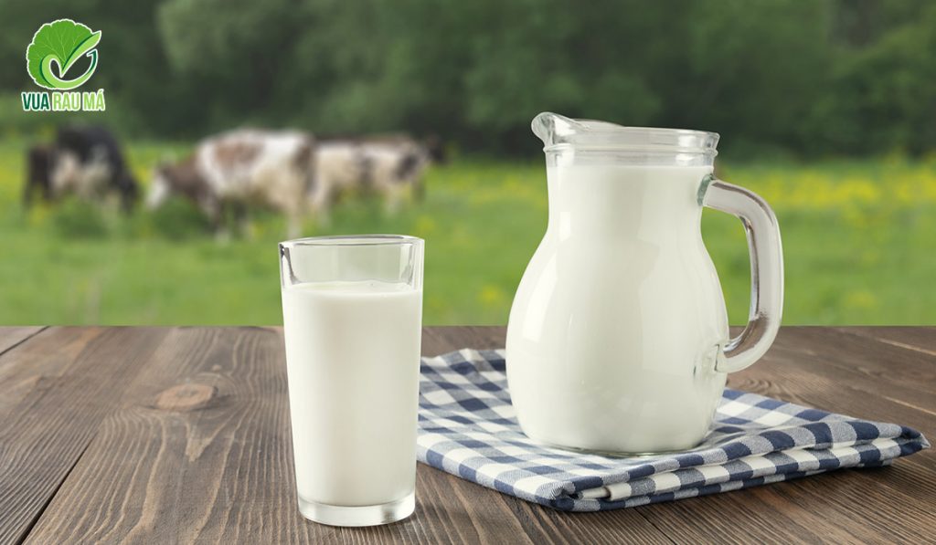 làm sữa rửa mặt từ sữa không đường